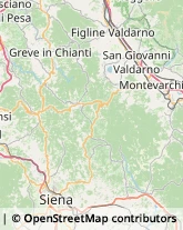 Comuni e Servizi Comunali Castellina in Chianti,53011Siena