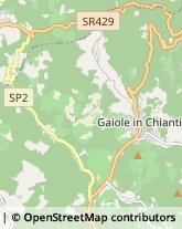 Comuni e Servizi Comunali Gaiole in Chianti,53013Siena