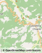 Aziende Agricole Castellina in Chianti,53011Siena