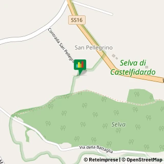 Contrada Montoro Selva, 12,60022Castelfidardo