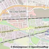 Peta Arezzo