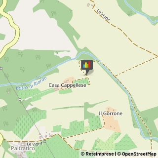 Minerali, Conchiglie e Fossili - Collezionismo,57016Livorno