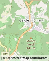 Ristoranti Gaiole in Chianti,53013Siena