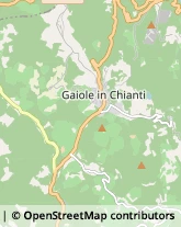 Ristoranti Gaiole in Chianti,53013Siena