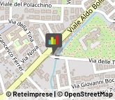 Piante e Fiori Artificiali - Dettaglio,06012Perugia