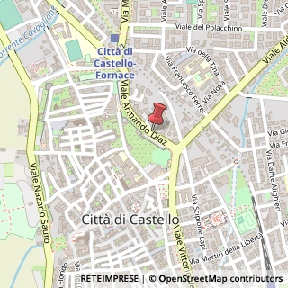 Mappa Viale Armando Diaz, n.21, 06012 Città di Castello, Perugia (Umbria)
