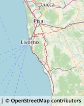 Corrieri Rosignano Marittimo,57016Livorno