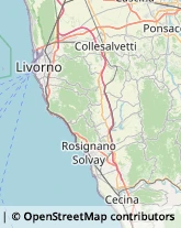 Corrieri Rosignano Marittimo,57016Livorno