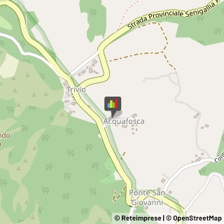 Aziende Agricole Serra San Quirico,60048Ancona