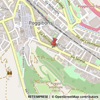 Mappa Via Senese, 24, 53036 Poggibonsi, Siena (Toscana)
