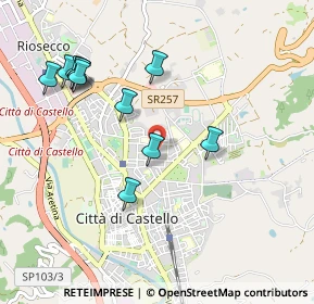 Mappa Viale Stelvio, 06012 Città di Castello PG, Italia (1.05)