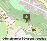Feste - Organizzazione e Servizi,53036Siena
