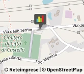 Piante e Fiori Artificiali - Dettaglio,06012Perugia