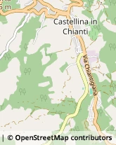 Alberghi Castellina in Chianti,53011Siena