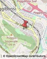 Via Sangallo, 65,53036Poggibonsi