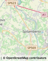 Aziende Agricole Spilamberto,41057Modena