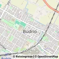 মানচিত্র Budrio
