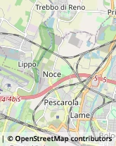 Trasporti Aerei Bologna,40132Bologna