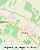 Via Ciro Menotti, 56,41058Vignola