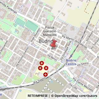 Mappa Via Golinelli, 3, 40054 Budrio, Bologna (Emilia Romagna)