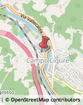 Via Don Lorenzo Leoncini, 21,16013Campo Ligure