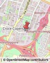 Via della Croce Coperta, ,40128Bologna