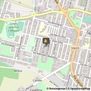 Fisiokinesiterapia - Medici Specialisti Spilamberto,41057Modena