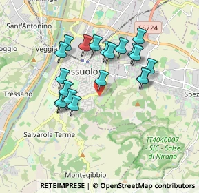 Mappa Via Francesco Ruini, 41049 Sassuolo MO, Italia (1.625)
