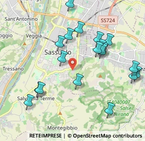 Mappa Via Francesco Ruini, 41049 Sassuolo MO, Italia (2.2485)