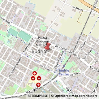 Mappa Via Mentana, 14, 40054 Budrio, Bologna (Emilia Romagna)