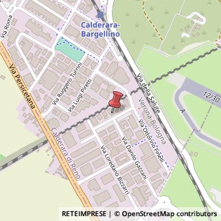 Mappa Via G. Grassilli, 7, 40100 Calderara di Reno, Bologna (Emilia Romagna)