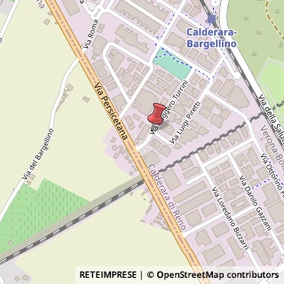 Mappa Via turrini 12, 40012 Calderara di Reno, Bologna (Emilia Romagna)