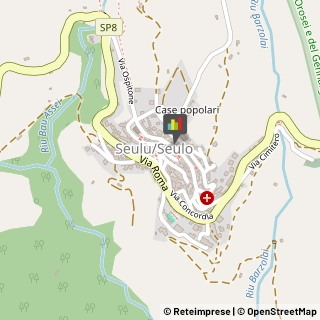 Prosciuttifici e Salumifici - Vendita Seulo,09065Nuoro