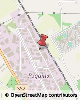 Strada Poggino, 67,01100Viterbo