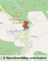 Via Ignazio Silone, 21,58011Capalbio