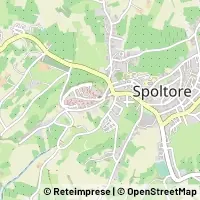 Peta Spoltore