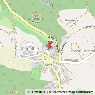 Mappa Piazza Silone Ignazio, 33, 58011 Capalbio, Grosseto (Toscana)