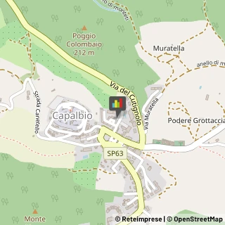 Macellerie,58011Grosseto