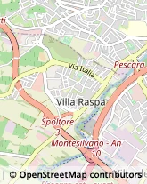 Articoli per Ortopedia Pescara,65122Pescara