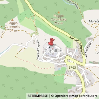 Mappa Piazza della Porticina, 4, 58011 Capalbio, Grosseto (Toscana)