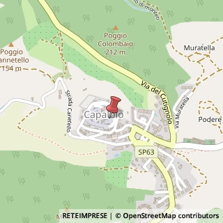 Mappa Via Vittorio Emanuele II, 10, 58011 Capalbio, Grosseto (Toscana)