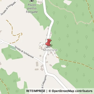 Mappa Strada Calvese, 36, 05035 Narni, Terni (Umbria)