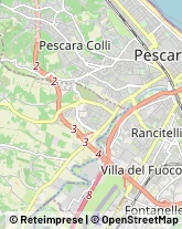 Otorinolaringoiatria - Medici Specialisti Pescara,65121Pescara