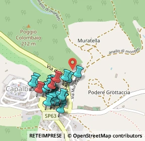 Mappa Piazza Silone Ignazio, 58011 Capalbio GR, Italia (0.23929)