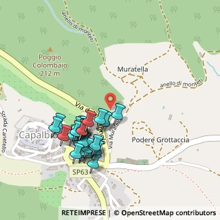 Mappa Piazza Silone Ignazio, 58011 Capalbio GR, Italia (0.23929)