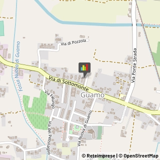 Reumatologia - Medici Specialisti Capannori,55060Lucca