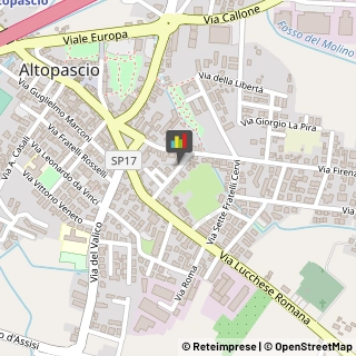 Agenzie ed Uffici Commerciali,55011Lucca
