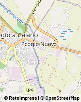 Polizia e Questure Prato,59100Prato