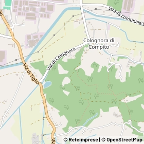 Mappa 55061