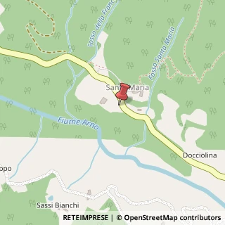Mappa Strada Statale Stia - Londa, 46, 52017 Calenzano, Firenze (Toscana)